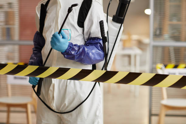 Professional Hoarding Cleanup technician working in Iona, FL